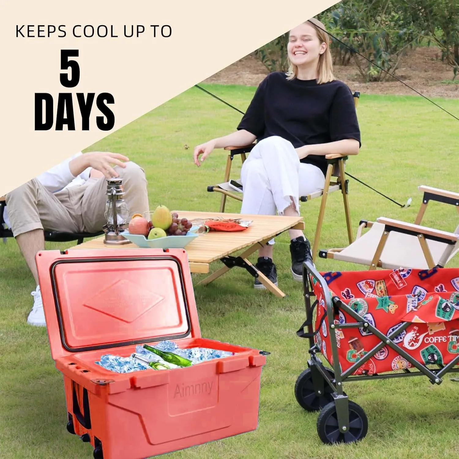 65 Quart Ultra-Light Wheeled Cooler, Insulated Cooler with Wheels and Handles, Portable Ice Chest Box for Beach, Drink, Camping, Picnic, Fishing, Boat, Barbecue, Keeps Ice Up to 5 Days