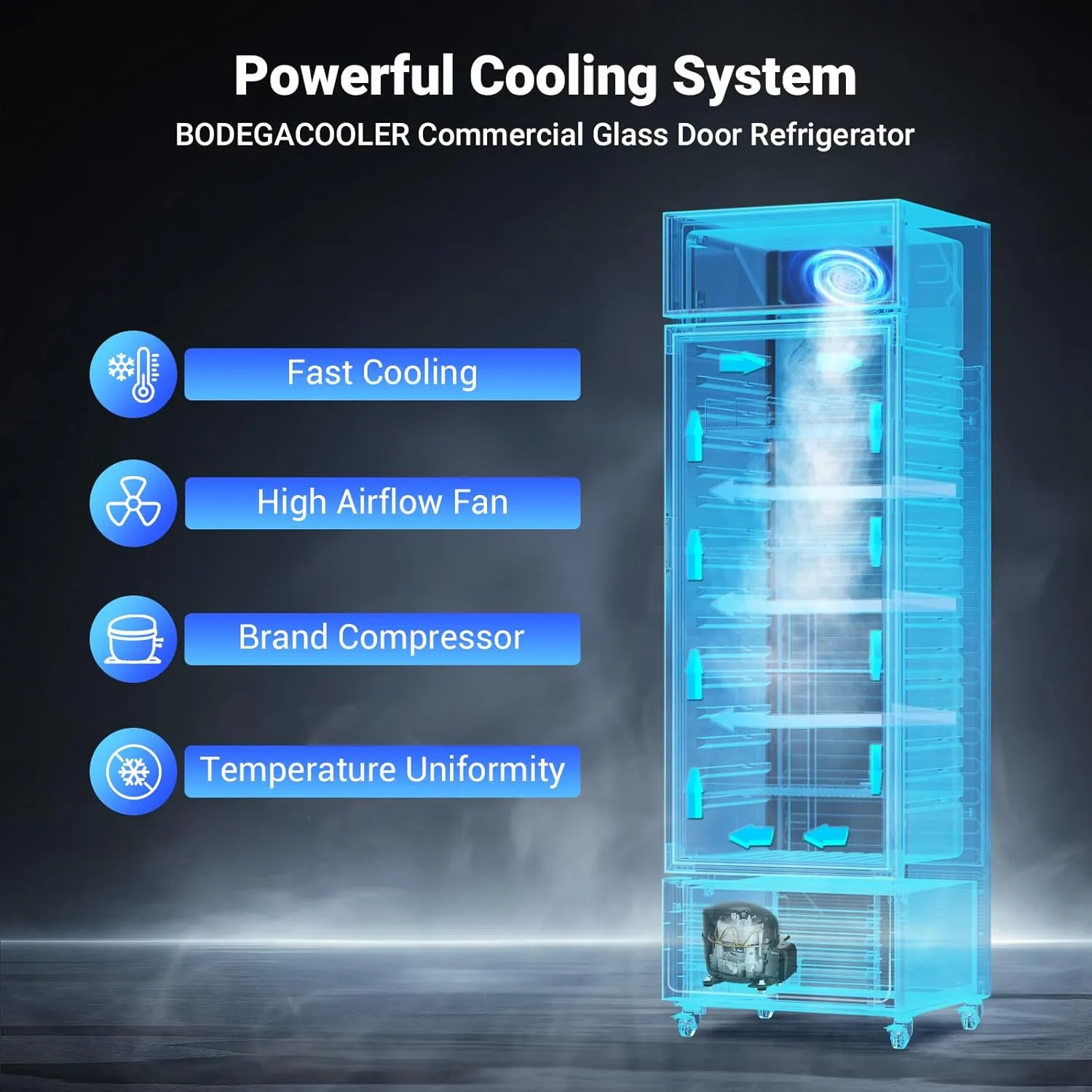 BODEGACOOLER Beverage Refrigerator and Cooler, 12.5 Cu. Ft Commercial Refrigerators for Drink, Beer, Glass Door Display Refrigerator with Soft LED Light. Commercial Fridge as Bar Cooler For Party.