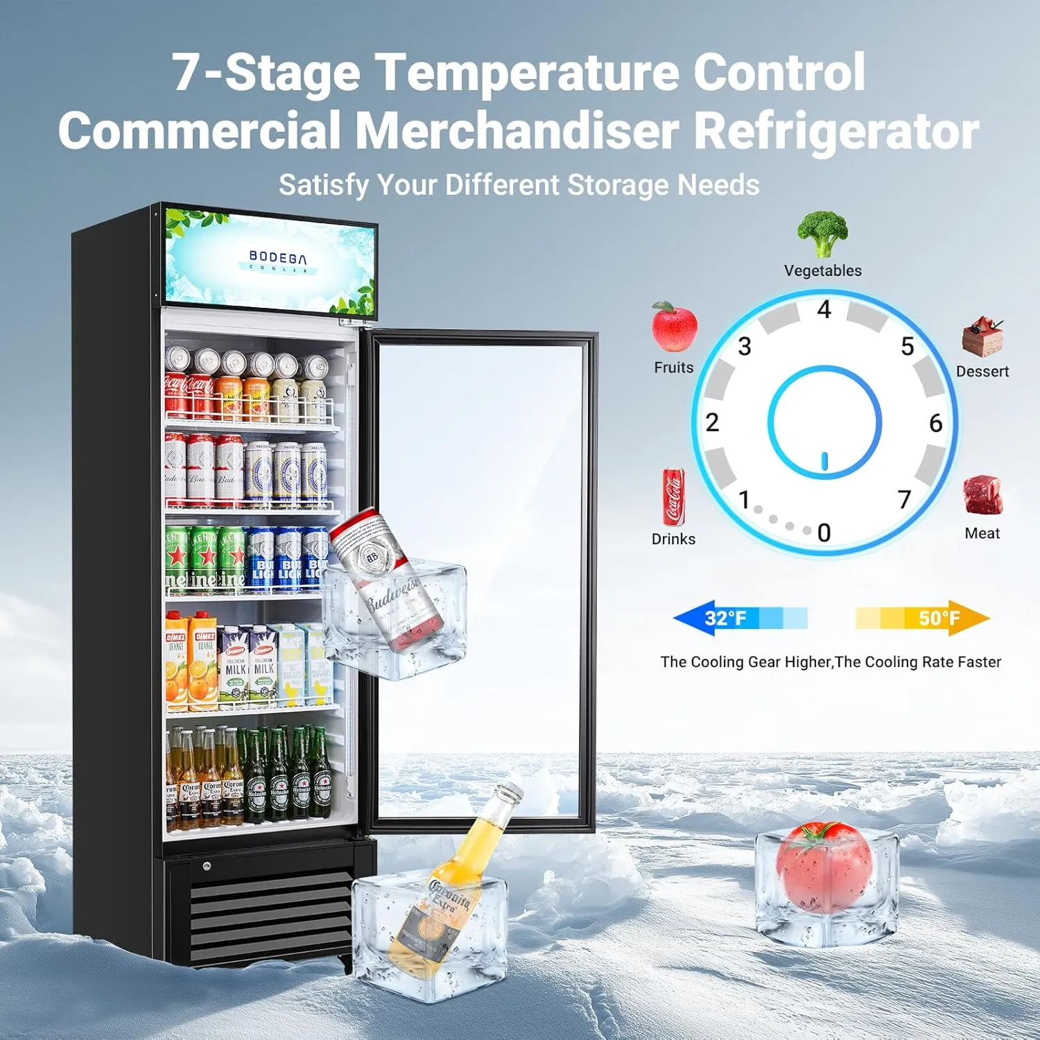 BODEGACOOLER Beverage Refrigerator and Cooler, 12.5 Cu. Ft Commercial Refrigerators for Drink, Beer, Glass Door Display Refrigerator with Soft LED Light. Commercial Fridge as Bar Cooler For Party.