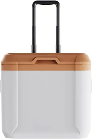 Car Camping Coolers for Acura Concept/Integra/MDX/RDX/TLX/ZDX/CDX/CSX/ILX, Leak Proof Cooler, Portable Lightweight Ice Chest Box, Compartments Waterproof Insulated Bag,B-Brown