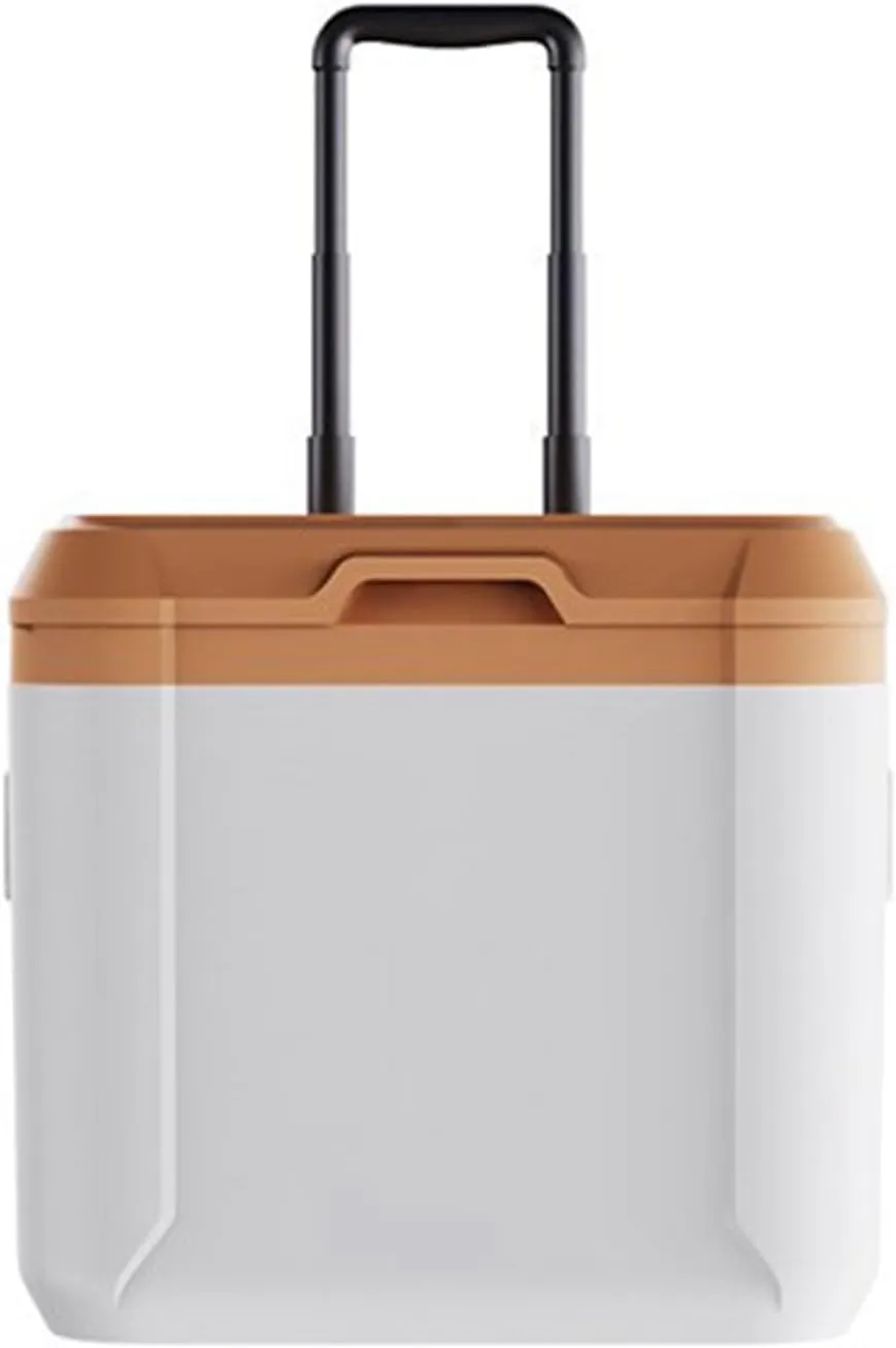 Car Camping Coolers for Acura Concept/Integra/MDX/RDX/TLX/ZDX/CDX/CSX/ILX, Leak Proof Cooler, Portable Lightweight Ice Chest Box, Compartments Waterproof Insulated Bag,B-Brown
