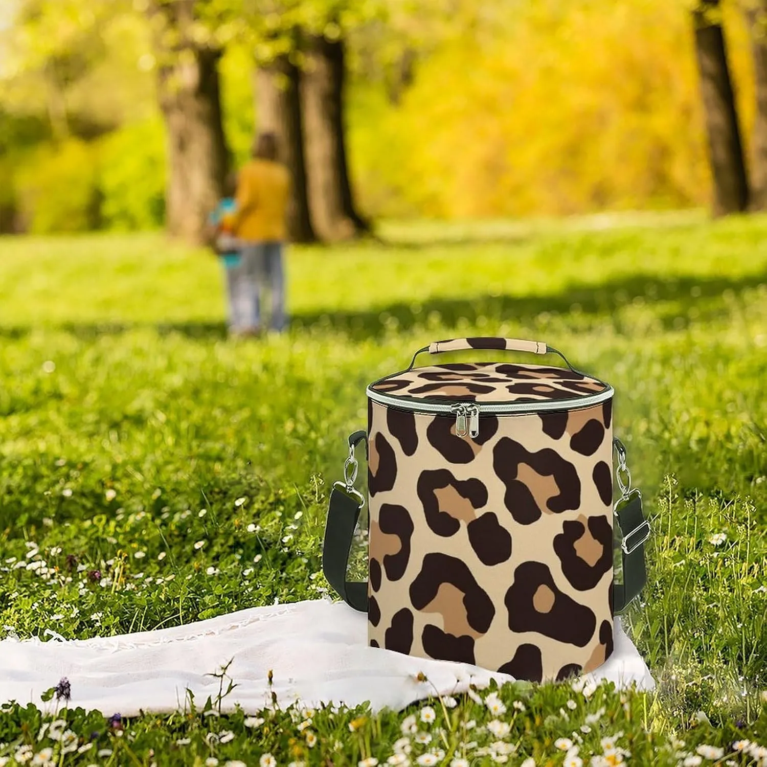 Collapsible Cooler Bag for Picnic, Beach, Work, Trip, Small Portable Ice Chest