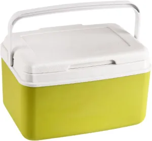 Cooler Box Car Refrigerator Personal Drink Carrier Cold/Heat Preservation Cooler Ice Chest Small Hard for Boat Party Barbecue