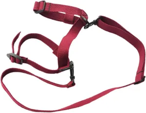 Elastic Carry Strap for Yoga Mat and Picnic Blanket Durable Easy Storage Convenient Travel for Outdoor Activities