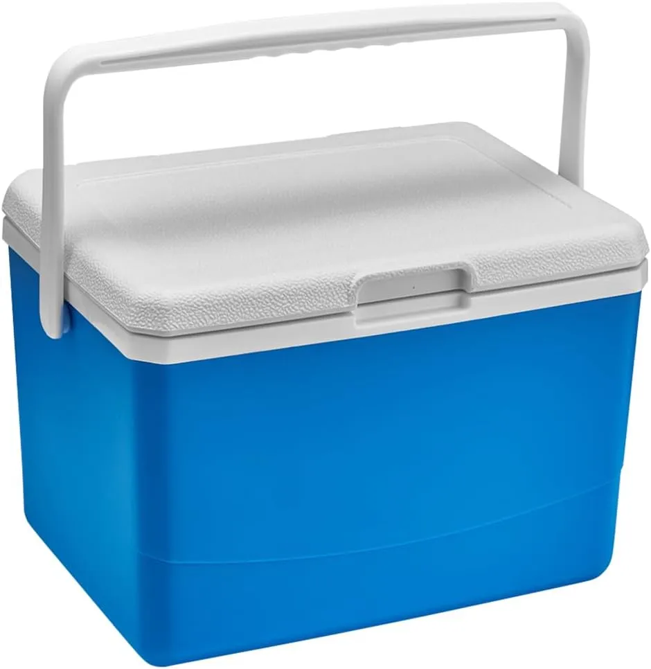 Mini Insulated Hard Cooler Lunch Box, 5 Quart Small Cooler with Handle, Portable Ice Retention Cooler Lunch Boxes for Camping, Picnic, Beach