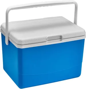 Mini Insulated Hard Cooler Lunch Box, 5 Quart Small Cooler with Handle, Portable Ice Retention Cooler Lunch Boxes for Camping, Picnic, Beach