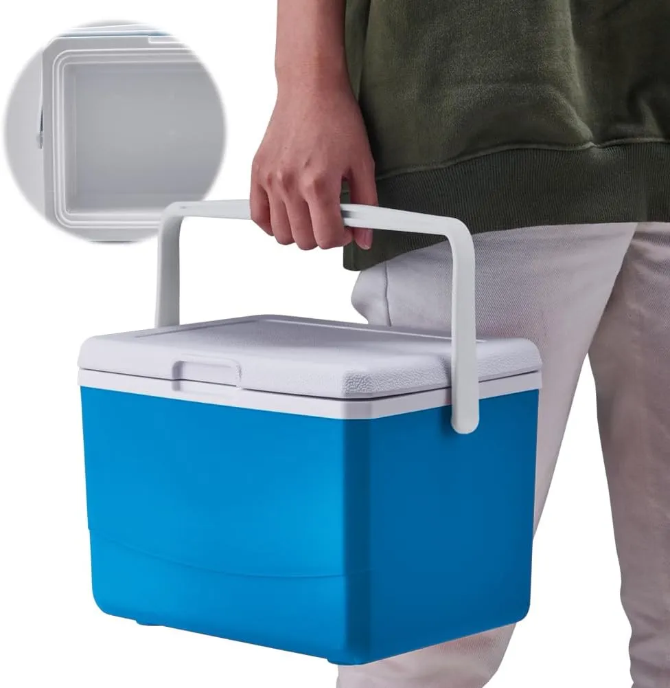 Mini Insulated Hard Cooler Lunch Box, 5 Quart Small Cooler with Handle, Portable Ice Retention Cooler Lunch Boxes for Camping, Picnic, Beach