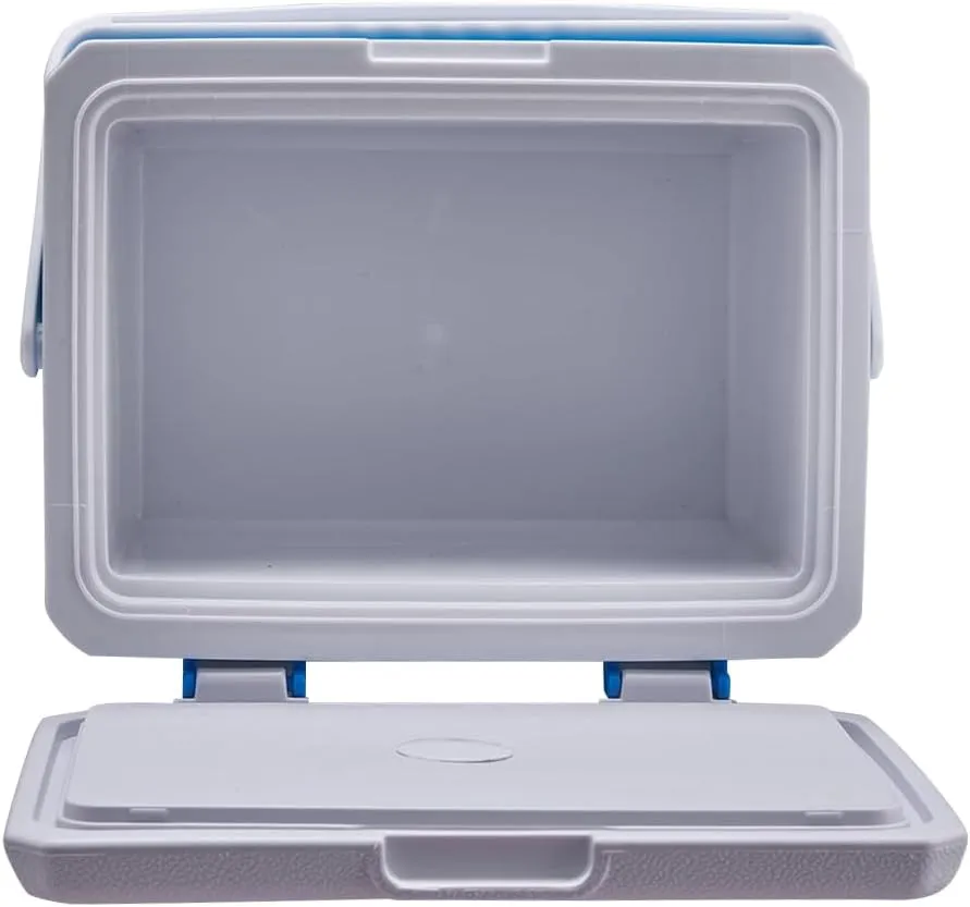 Mini Insulated Hard Cooler Lunch Box, 5 Quart Small Cooler with Handle, Portable Ice Retention Cooler Lunch Boxes for Camping, Picnic, Beach