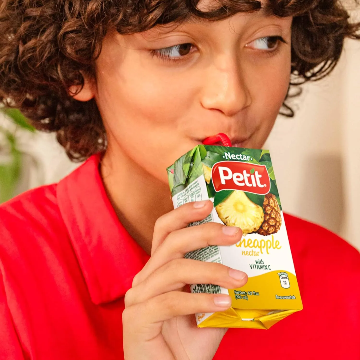 Petit Pineapple Nectar, 200 ml (Pack of 24) – Refreshing Tropical Fruit Beverage