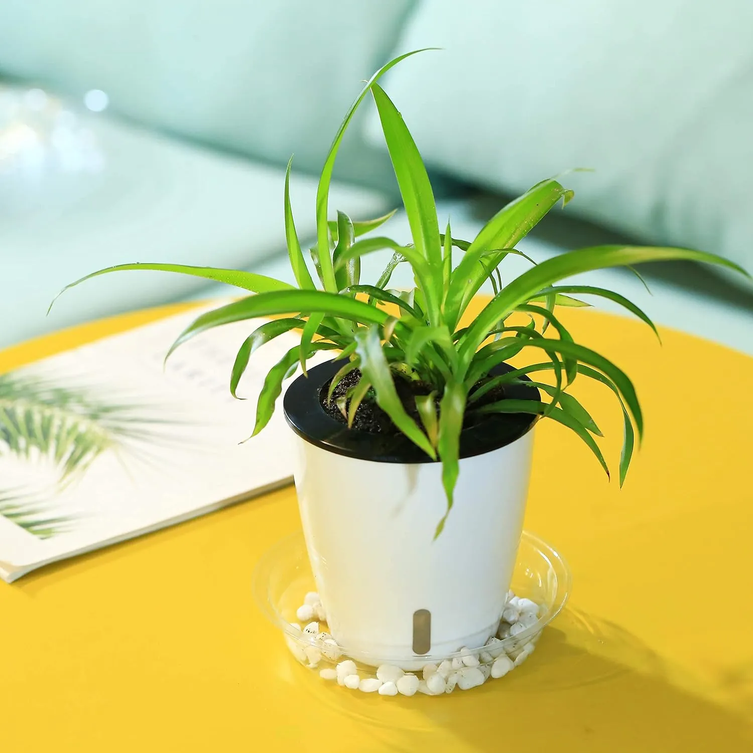 Planterhoma 5 Inch Self Watering Pots for Indoor Plants, 6 Packs African Violet Pots with Indicator, Black Wick Pot with Drainage Holes, Self Watering Planters for Orchid, Devil's Ivy, White