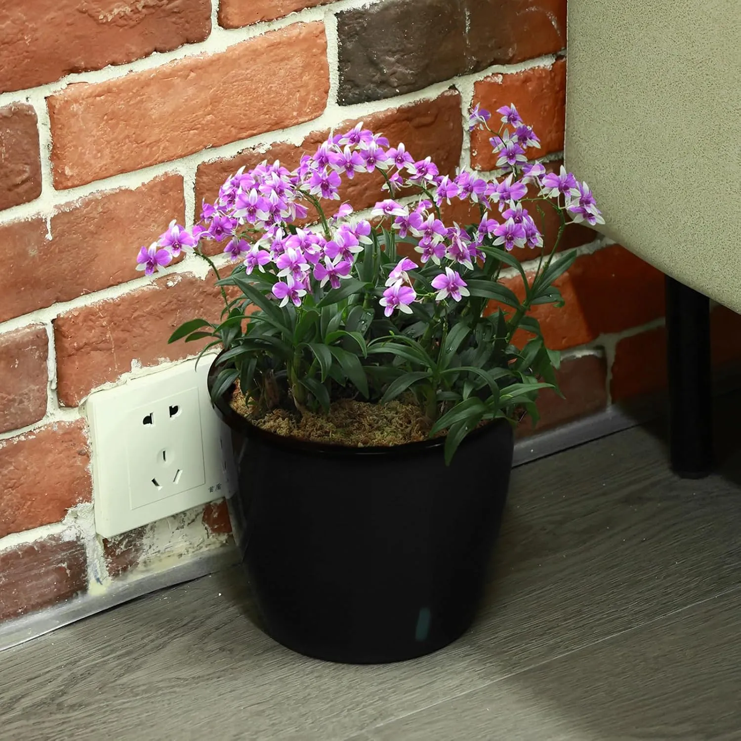 Planterhoma 6.7 Inch Self Watering Pots for Indoor Plants, 6 Packs African Violet Pots with Indicator, Black Wick Pot with Drainage Holes, Self Watering Planters for Orchid, Devil's Ivy, Black