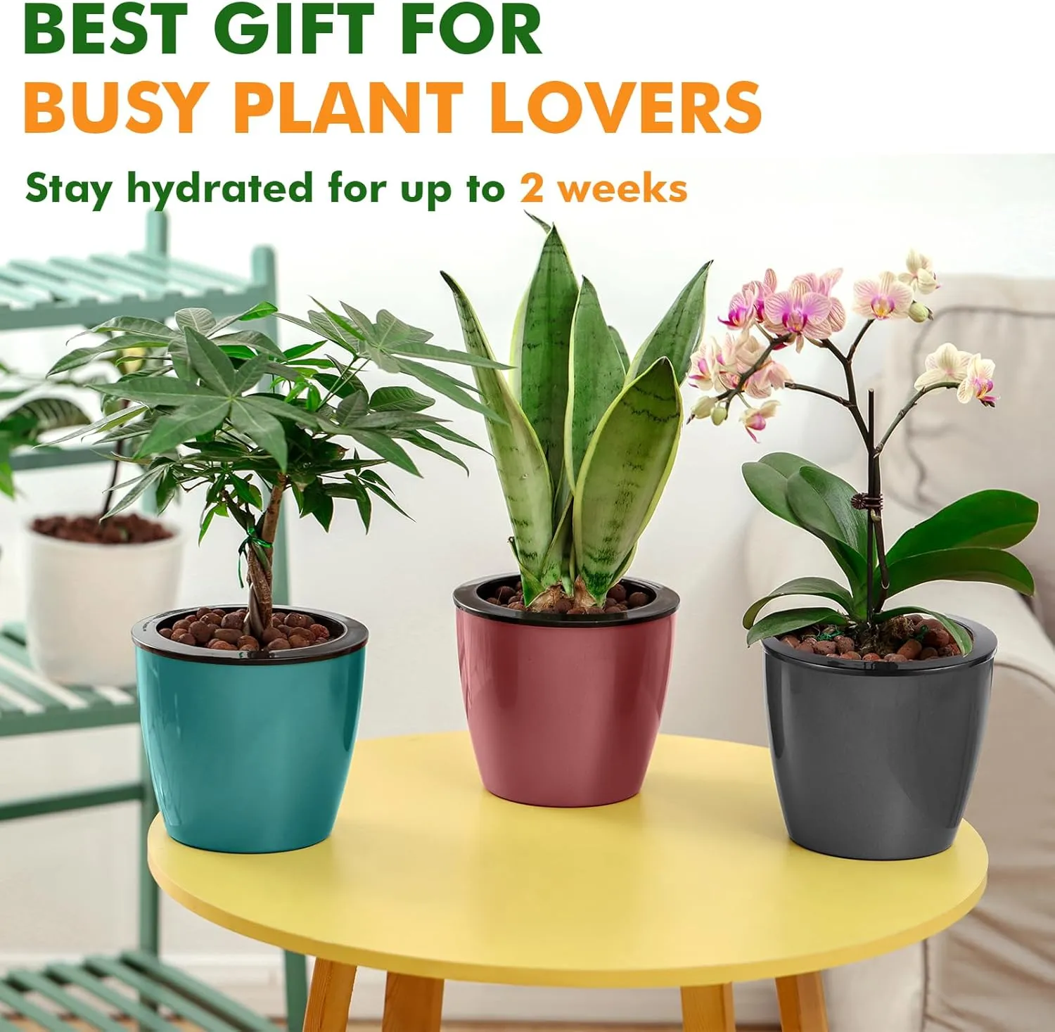 Planterhoma 6.7 Inch Self Watering Pots for Indoor Plants, 6 Packs African Violet Pots with Indicator, Black Wick Pot with Drainage Holes, Self Watering Planters for Orchid, Devil's Ivy, White