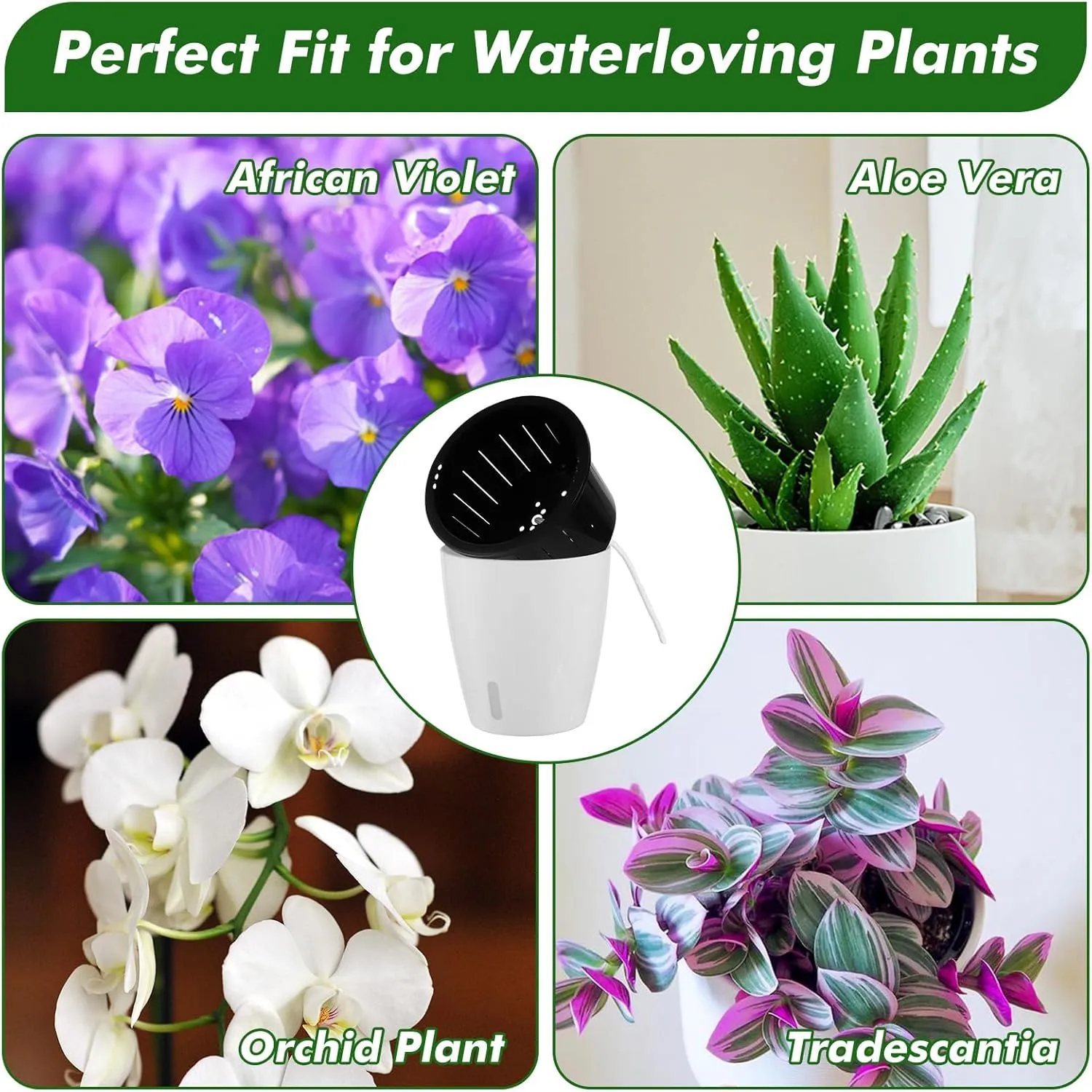 Planterhoma 6.7 Inch Self Watering Pots for Indoor Plants, 6 Packs African Violet Pots with Indicator, Black Wick Pot with Drainage Holes, Self Watering Planters for Orchid, Devil's Ivy, White