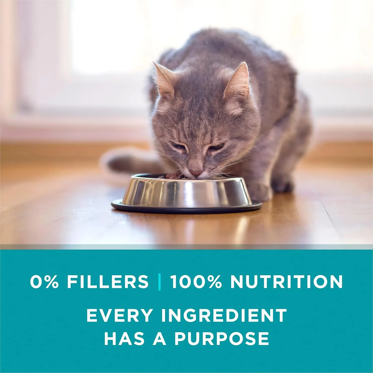 Purina ONE Natural, High Protein Cat Food Variety Pack, Turkey, Chicken and Tuna Recipes - (2 Packs of 12) 3 oz. Cans