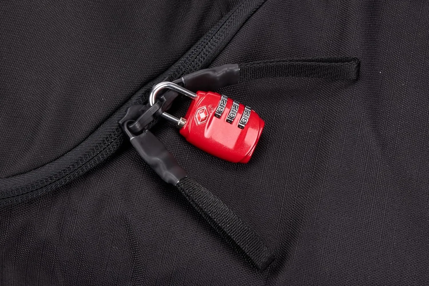 Thule RoundTrip Ski Bag