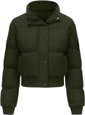 Women's Crop Puffer Vest Sleeveless Winter Cropped Stand Collar Warm Padded Puffer Jacket Lightweight Y2k with Pocket